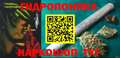 индика Нальчик