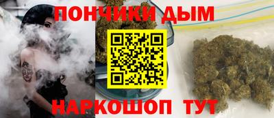 индика Нальчик