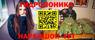 индика Нальчик