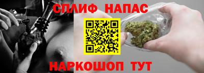 индика Нальчик