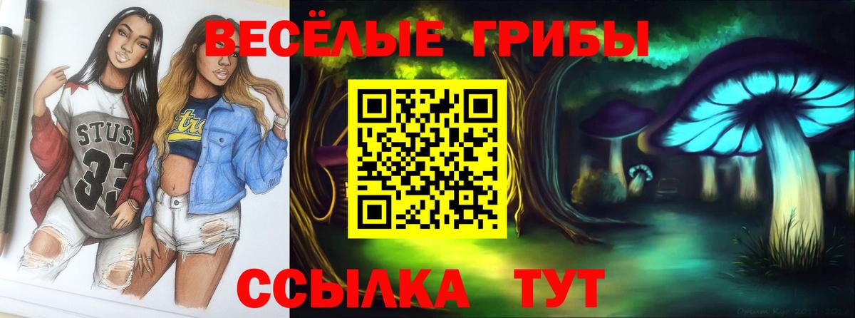Старая Купавна  Псилоцибиновые грибы мицелий  Псилоцибиновые грибы Psilocybe  Вход с VPN 