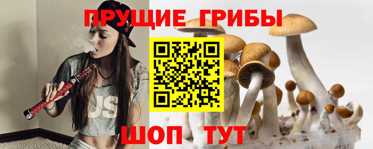 Галлюциногенные грибы GOLDEN TEACHER Старая Купавна